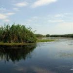 Lacul Varsina din Delta Dunarii