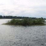 Lacul cu Cotete din Delta Dunarii.