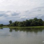 Lacul cu Cotete din Delta Dunarii.