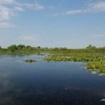 Lacul Varsina din Delta Dunarii