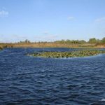 Lacul Varsina din Delta Dunarii