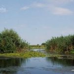 Lacul Varsina din Delta Dunarii