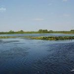 Lacul Varsina din Delta Dunarii