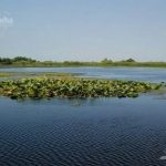 Lacul Varsina din Delta Dunarii
