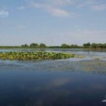 Lacul Varsina din Delta Dunarii