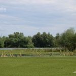 Lacul cu Cotete din Delta Dunarii.
