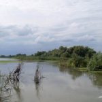 Lacul cu Cotete din Delta Dunarii.