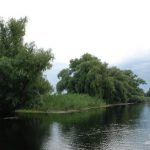 Canalul Razboinita din Delta Dunarii.