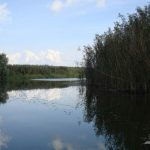 Canalul Ligheanca din Delta Dunarii