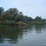 Canalul Sontea Lata din Delta Dunarii