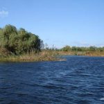 Lacul Varsina din Delta Dunarii