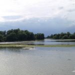 Lacul cu Cotete din Delta Dunarii.