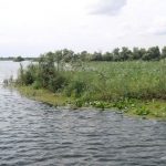 Lacul cu Cotete din Delta Dunarii.