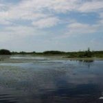 Lacul Varsina din Delta Dunarii