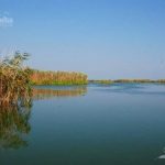 Lacul Rosulet din Delta Dunarii.