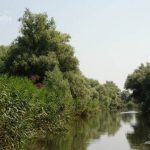 Canalul Cazanel din Delta Dunarii.
