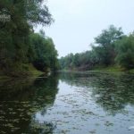 Canalul Razboinita din Delta Dunarii.