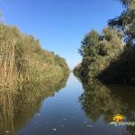 Canalul Dovnica din Delta Dunarii.