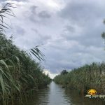 Canalul Sidor din Delta Dunarii