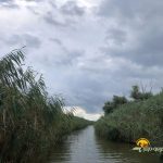 Canalul Sidor din Delta Dunarii