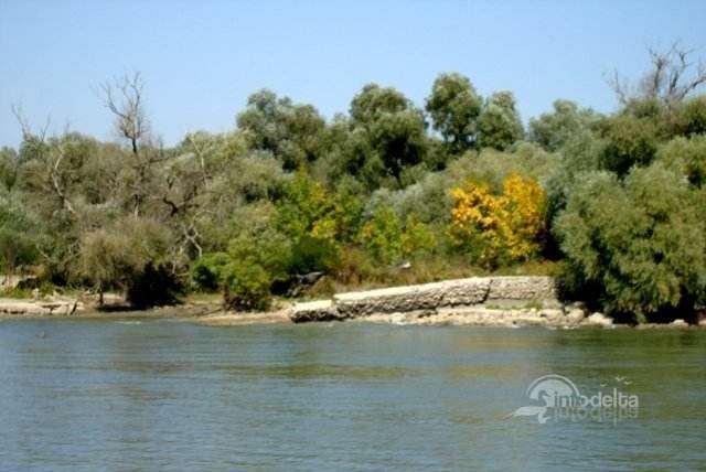 pescuit Mila 19 Gorgova - canalul Sulina