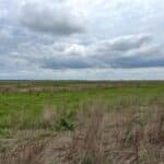 Zona strict protejata Rosca Buhaiova - Delta Dunarii