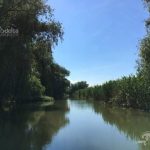 Canalul Bracliva din Delta Dunarii