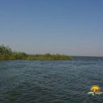Lacul Puiu din Delta Dunarii