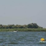 Lacul Puiu din Delta Dunarii