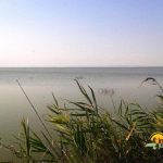 Lacul Sinoe din Delta Dunarii