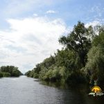 Canalul Litcov din Delta Dunarii.