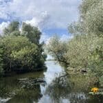 peisaj septembrie delta dunarii