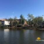 Insula Matita din Delta Dunarii