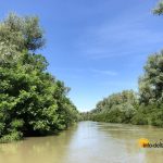 Canalul Trofilca din Delta Dunarii