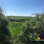Drumul spre plaja din Sfantu Gheorghe