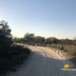 Drumul spre plaja din Sfantu Gheorghe