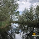 Canal Lacul Babina - Lacul Matita