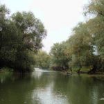 Canalul Furtuna din Delta Dunarii