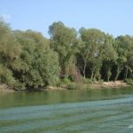 Dunarea Veche. Portiunea situata intre km 85 si localitatea Uzlina din Delta Dunarii.