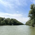 Canalul Mila 36 din Delta Dunarii