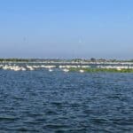 lacul isac delta dunarii