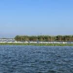 lacul isac delta dunarii