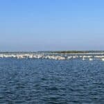 lacul isac delta dunarii