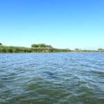 lacul isac delta dunarii