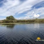 Lacul Serbata
