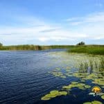 Canalul de acces in Lacul Cuibul cu Lebede (lacul Cuibida) din Delta Dunarii.