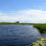 Canalul de acces in Lacul Cuibul cu Lebede (lacul Cuibida) din Delta Dunarii.