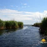 Canalul de acces in Lacul Cuibul cu Lebede (lacul Cuibida) din Delta Dunarii.