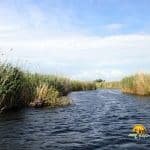 Canalul de acces in Lacul Cuibul cu Lebede (lacul Cuibida) din Delta Dunarii.