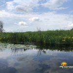 Canalul Ligheanca – Alexina